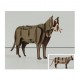 animali puzzle 3d